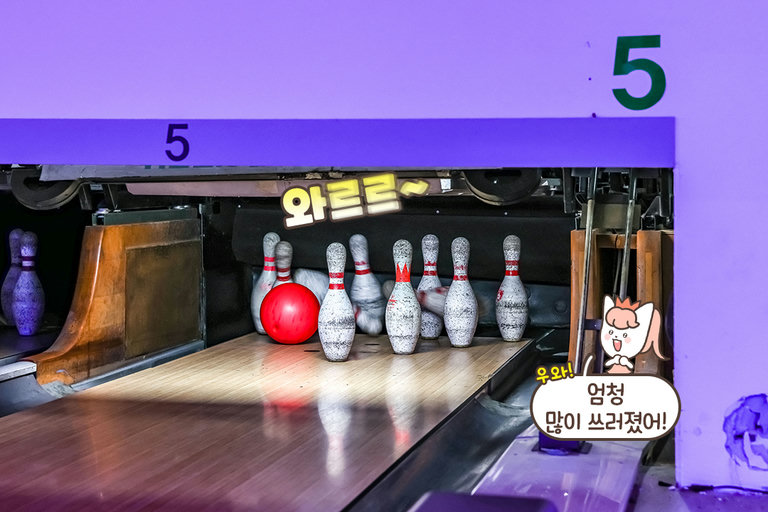 노력은 배신하지 않는 법🔥