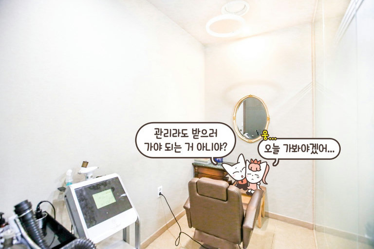 1:1룸에서 프라이빗하게👏