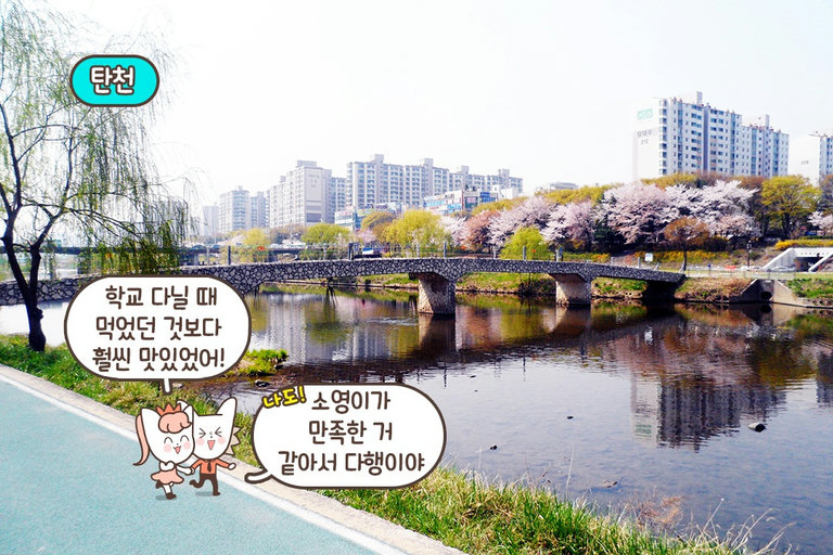오늘부터 내 돈가스 최애 맛집은 카산도 정자본점💕