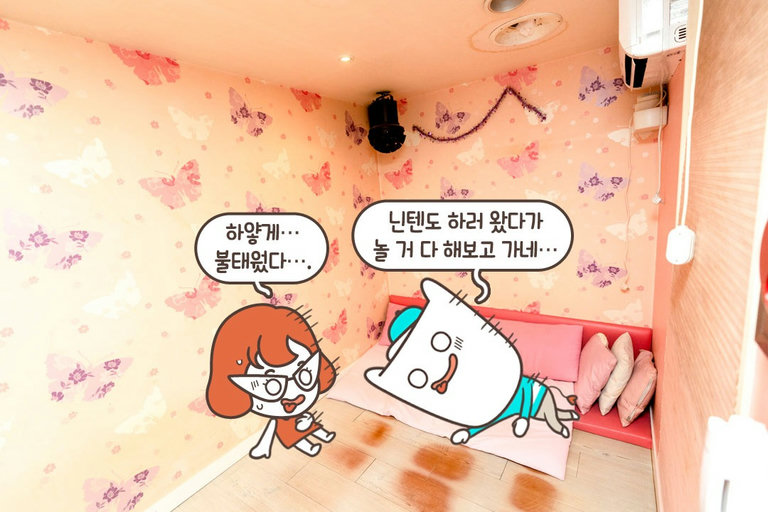 하얗게 불태우며 놀아보자!