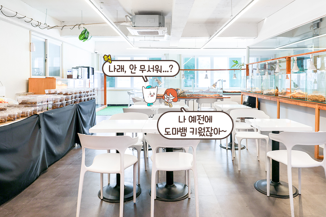 파충류에게 최적의 환경을 제공하는 곳