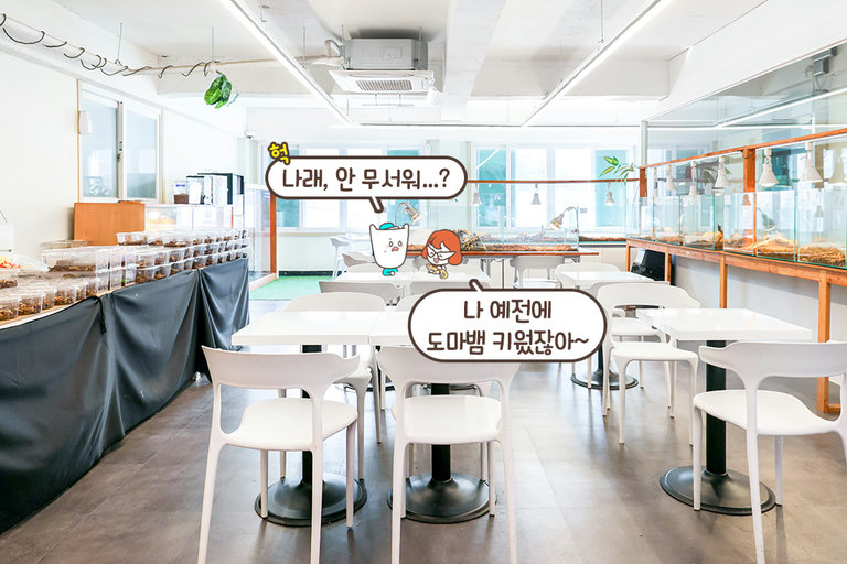 파충류에게 최적의 환경을 제공하는 곳
