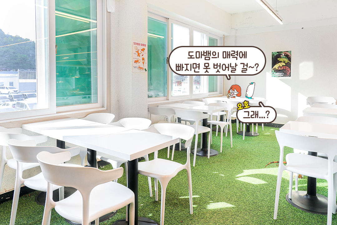 파충류들이 지내는 특별한 공간 🌿 