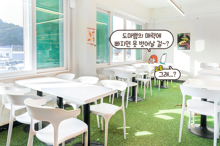 파충류들이 지내는 특별한 공간 🌿 