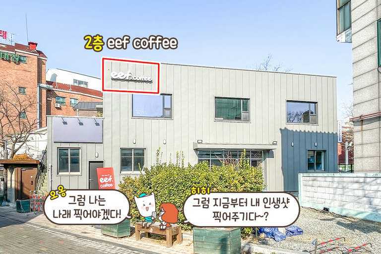 인생샷 건지러 같이 가볼래📸