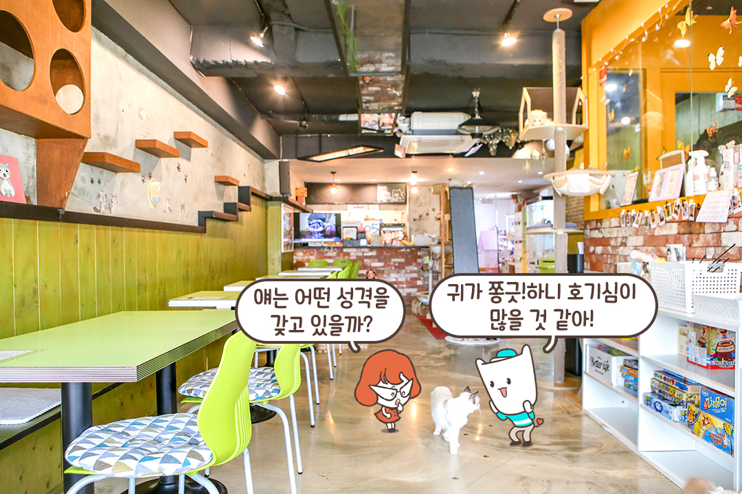 깔끔한 음료 구성🥤