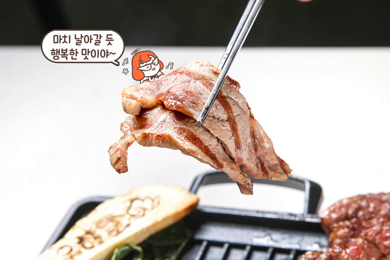 왜 이베리코가 특별할까?🐷