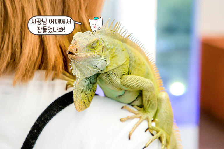 마음에 드는 친구가 있다면 분양 상담도 가능✔️