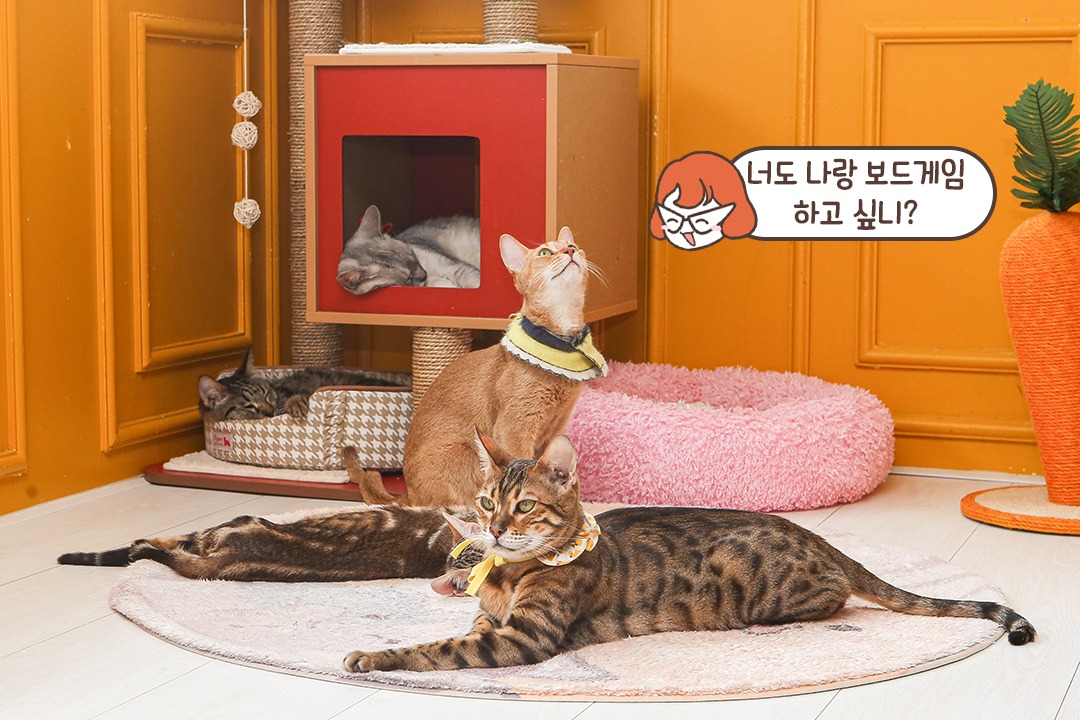 잠깐의 휴식 타임🕹