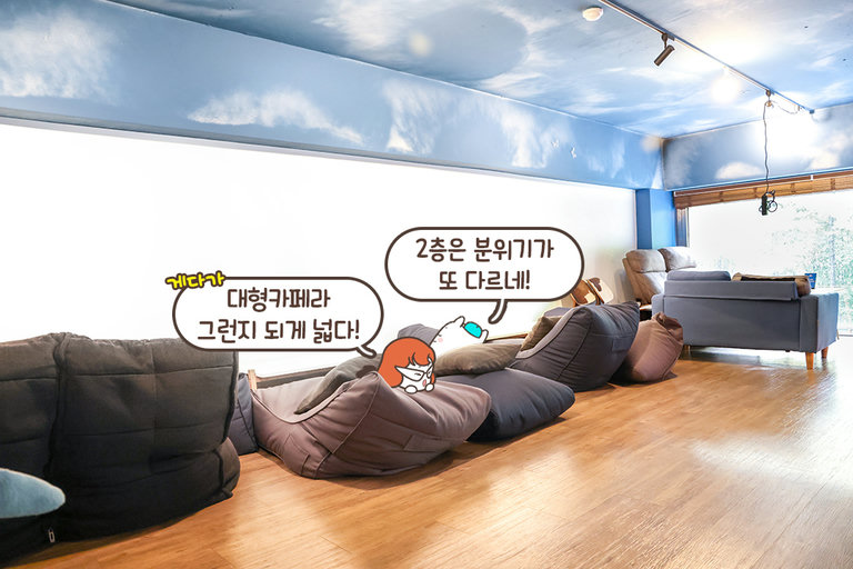 귀여운 물고기들과 함께 하는 힐링타임🐠