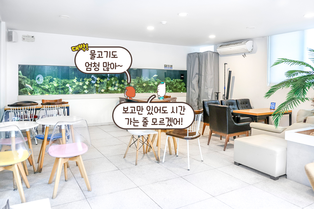 130평 대형 아쿠아리움 카페