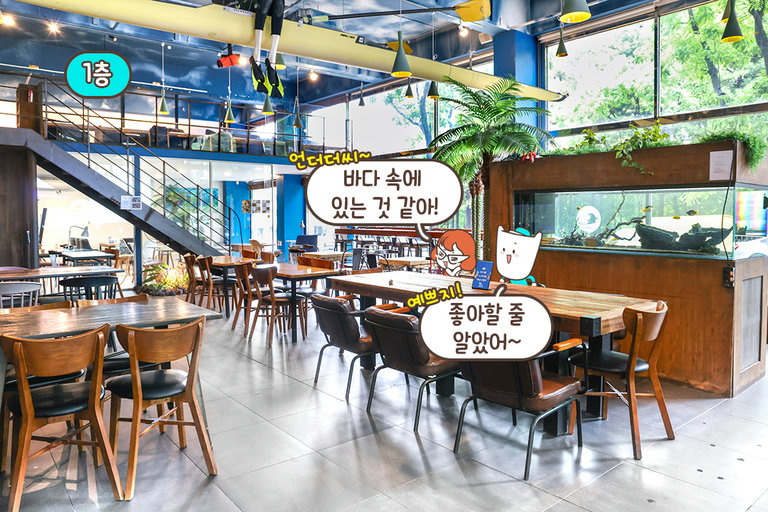 언더더씨🏝️ 신비로운 바다속으로의 초대
