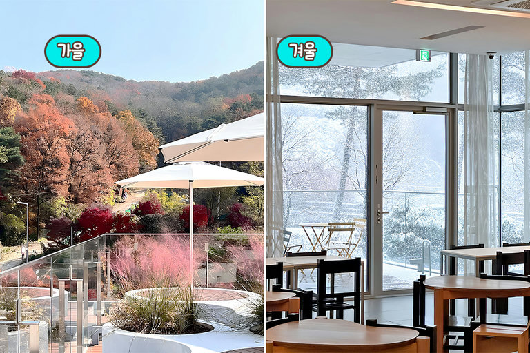사계절마다 다른 매력을 품은 감성 공간