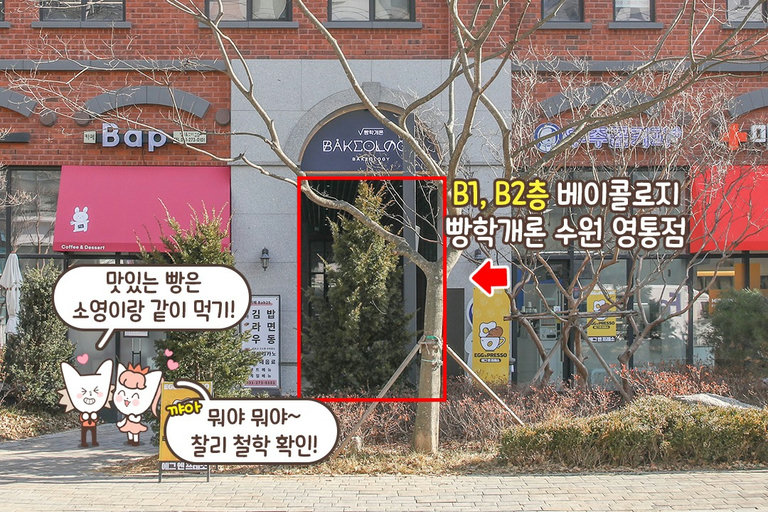 주차 공간이 제공되는 카페