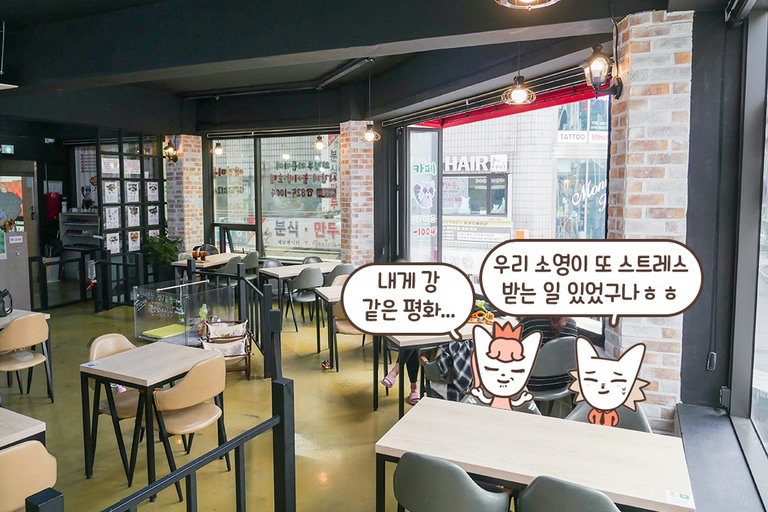 여기가 바로 귀여움이 가득한 곳인가요?