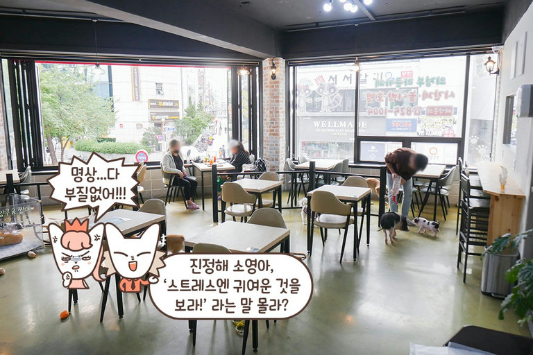 여기가 바로 귀여움이 가득한 곳인가요?