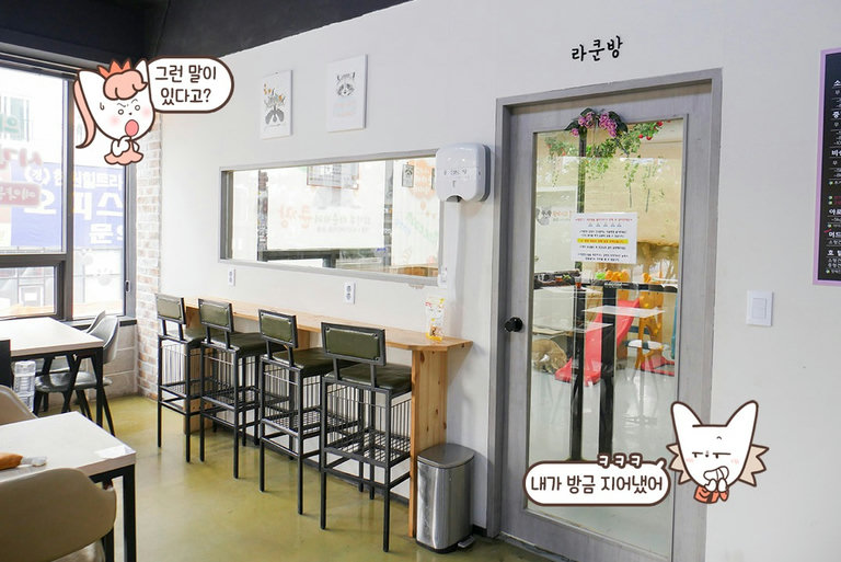 라쿤 방은 따로 있어요~