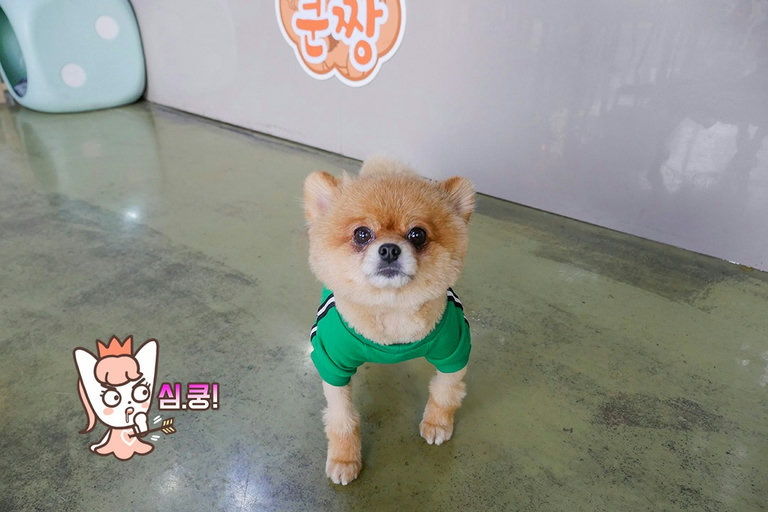 심장뿌셔 지구뿌셔 다 뿌셔!!!!
