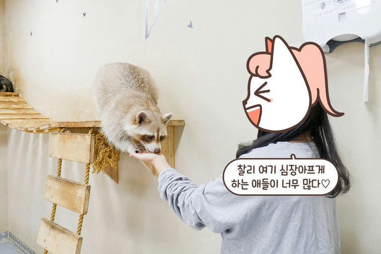 웃기고 매력 넘치는 이 친구들...