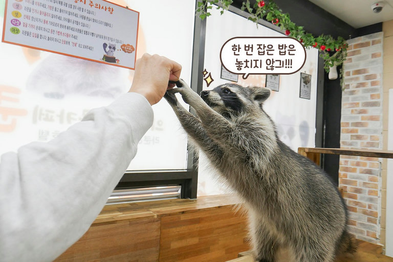 웃기고 매력 넘치는 이 친구들...