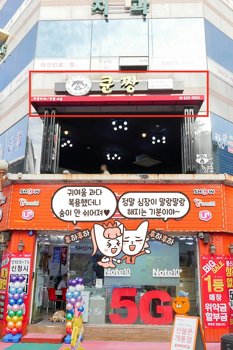 짜릿해, 늘 새로워, 귀여운 게 최고야!