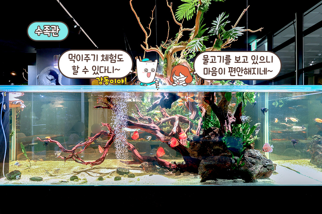 투명 수족관에서 즐기는 먹이 교감 타임🐢