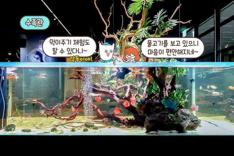 투명 수족관에서 즐기는 먹이 교감 타임🐢