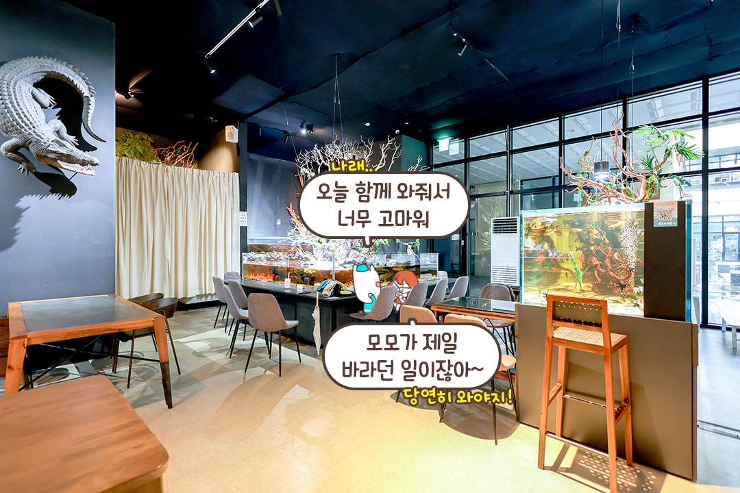 테이블이 곧 수족관!🐠