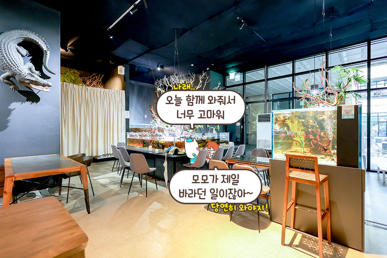 테이블이 곧 수족관!🐠