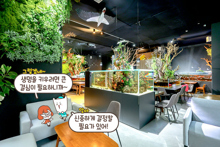 바다와 숲이 어우러진 공간🌳