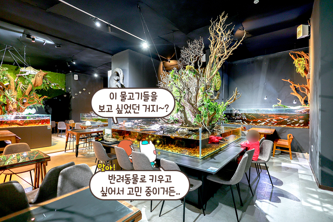 테이블이 곧 수족관!🐠