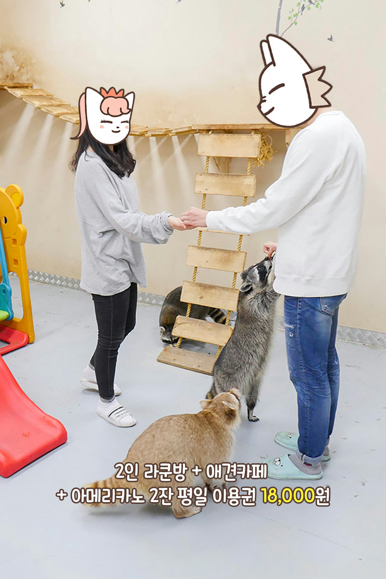 라쿤방 입장ᕕ( ᐛ )ᕗ