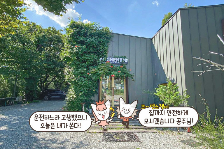 넓은 주차장 준비 완료!🚗💨