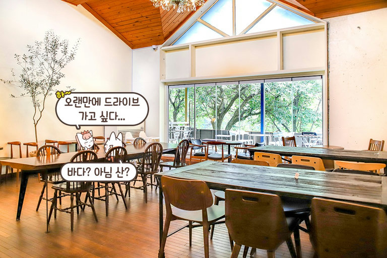 내부 어느 곳에서든 만나볼 수 있는 숲 뷰🌳