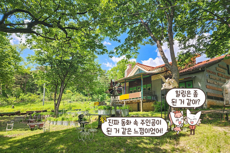 도심에서 벗어나 힐링을 즐기고 싶을 때