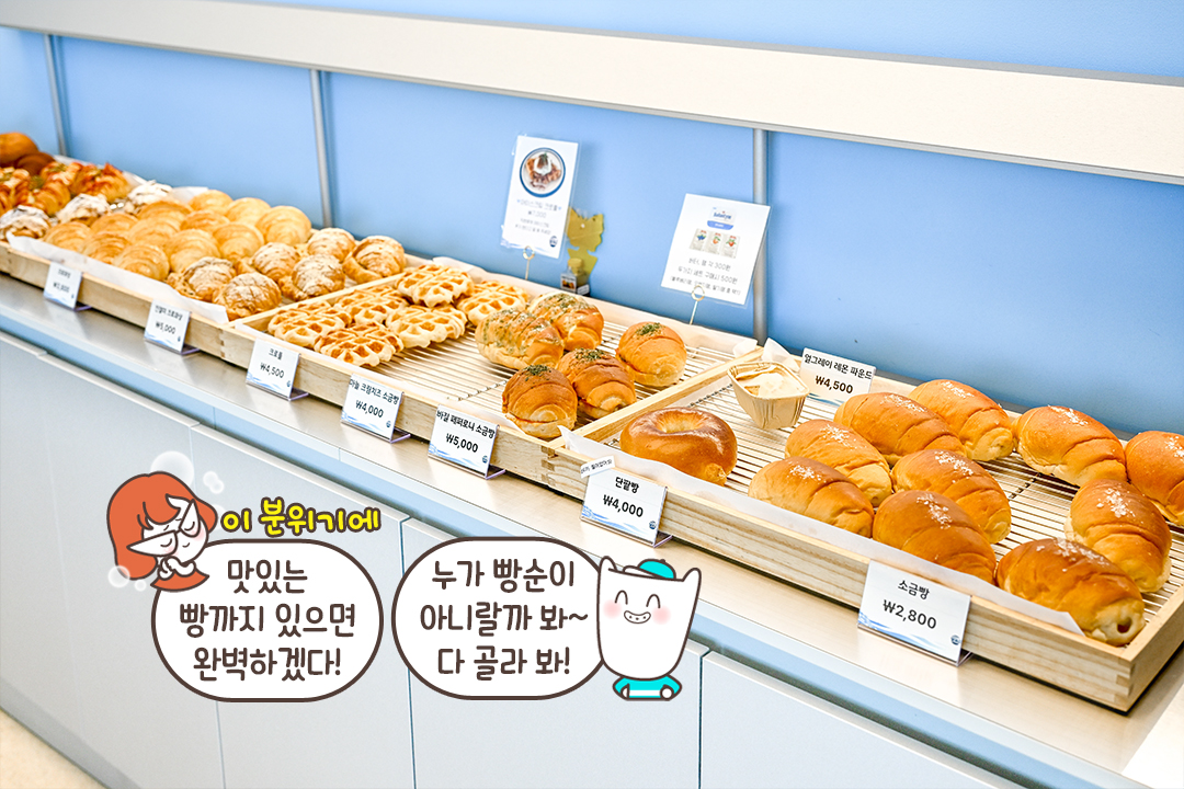 계절마다 달라지는 달콤한 즐거움🥐