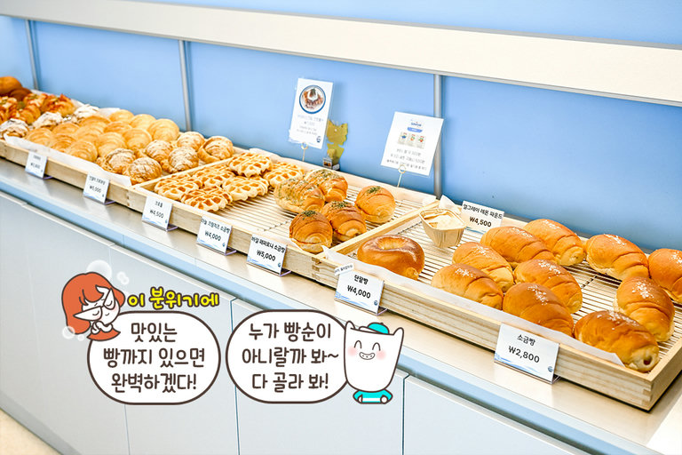 계절마다 달라지는 달콤한 즐거움🥐