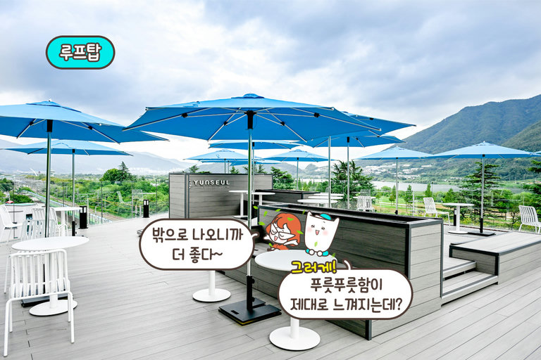 낙동강이 흐르는 산 뷰🌄