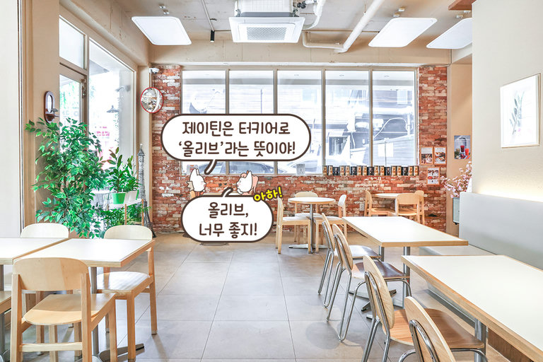 올리브를 닮은 프레시한 공간🌿
