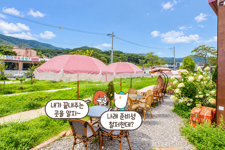 깨끗한 하늘을 올려다보며 즐기는 우리만의 데이트